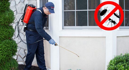 Dedebaşı Böcek ve Haşere İlaçlama böcek ilaçlama ve haşere kontrolü — ilaclama-tr.com